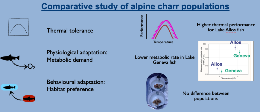 Screenshot 2026-01-27 at 10.41.16-10_41_35.png